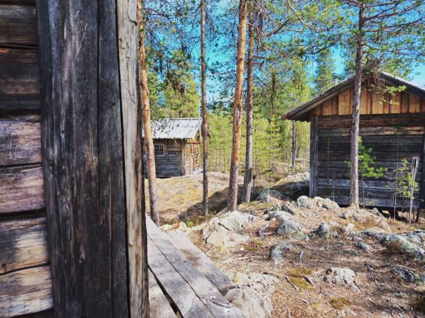 istock Group of log cabins in the Swedish forest 1337214169