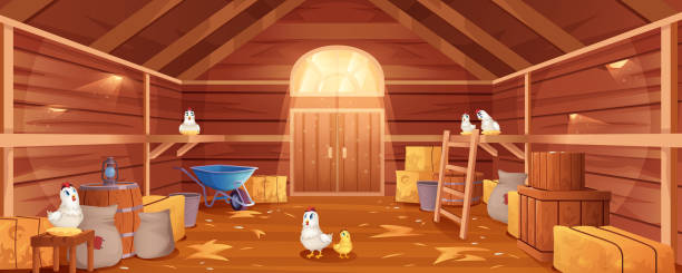Cartoon farm barn interior with chickens, straw and hay Cartoon barn interior with chickens, straw and hay. Farm house inside view. Traditional wooden ranch with haystacks, sacks, gate and window. Old shed building with hen nests and garden tools. chicken coop stock illustrations