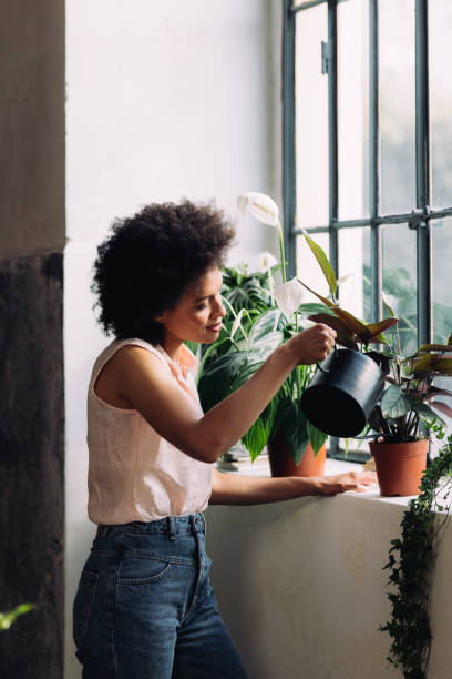 istock Simple Houseplant Care Tips to Keep Your Plants Healthy 1337214915