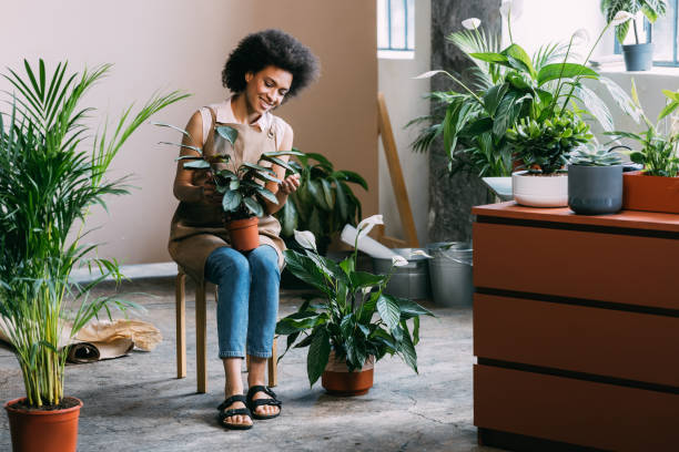 istock Simple Houseplant Care Tips to Keep Your Plants Healthy 1337214978