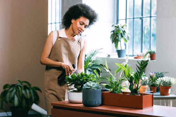 istock Simple Houseplant Care Tips to Keep Your Plants Healthy 1337214980