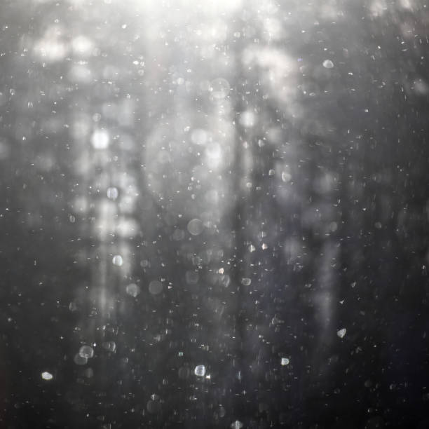 istock Backlit snowflakes on a blurred forest silhouette 1337216257