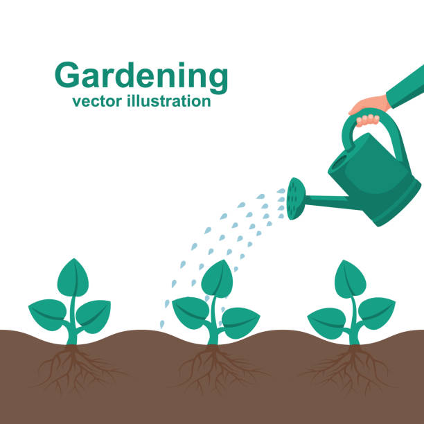 Watering can hold in hand vector Watering can hold in hand. Watering, fertilizer young sapling falling drop of water isolated. Plant sprout. Vector illustration flat design. Isolated on white background. Give life to a young sprout. watering can stock illustrations