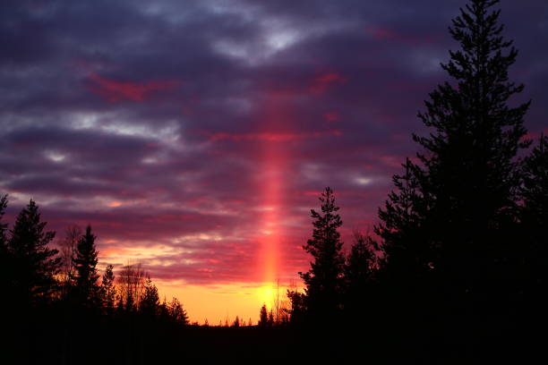 Sun pillar and evening sky with forest silhouette.