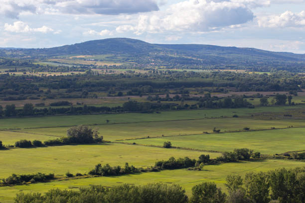 istock Kali basin at August, Hungary 1337217679