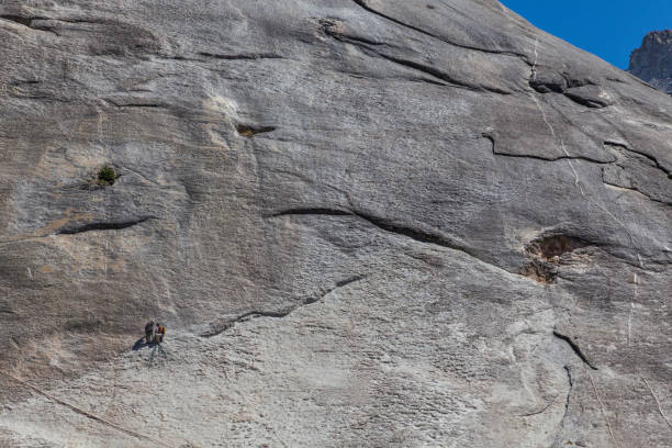 istock rock texture in yosemite national park 1337218873
