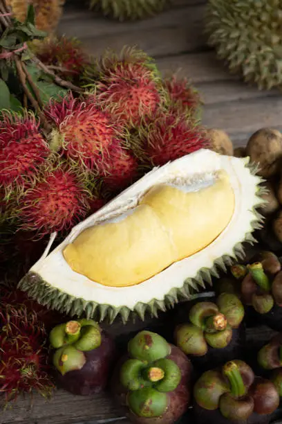 The durian is the fruit of several tree species belonging to the genus Durio. There are 30 recognised Durio species, at least nine of which produce edible fruit, with over 300 named varieties in Thailand