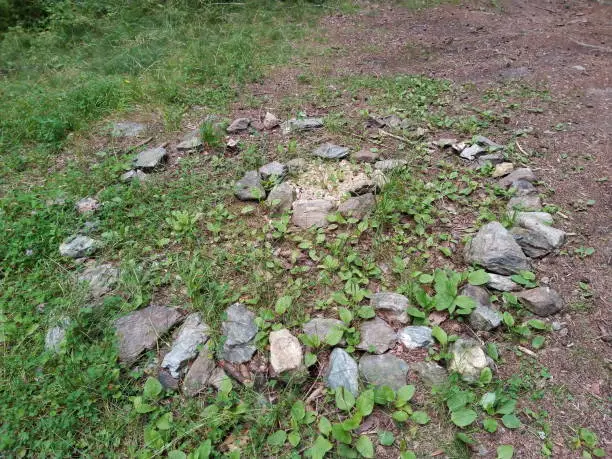 little stone circle with grass and herbs