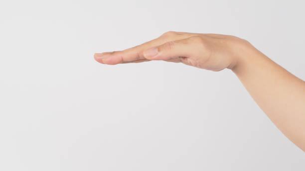 istock Level Off hand sign. Extend a flat hand with the palm facing down isolated on white background. 1337220431