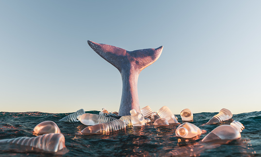 whale tail on the surface of the sea with plastic bottles around it. concept of pollution, environment and climate change. 3d rendering