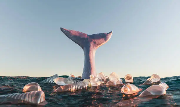 whale tail on the surface of the sea with plastic bottles around it. concept of pollution, environment and climate change. 3d rendering