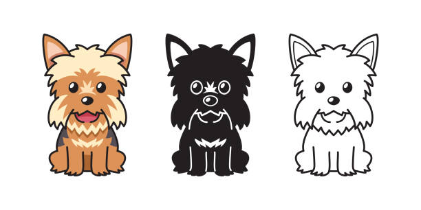 wektorowy zestaw kreskówek psa yorkshire terrier - yorkshire terrier stock illustrations