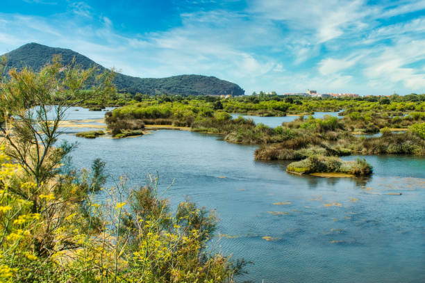 Santoña Marshes Natural Park in Cantabria, Spain Santoña Marshes Natural Park in Cantabria, Spain tidal pool stock pictures, royalty-free photos & images