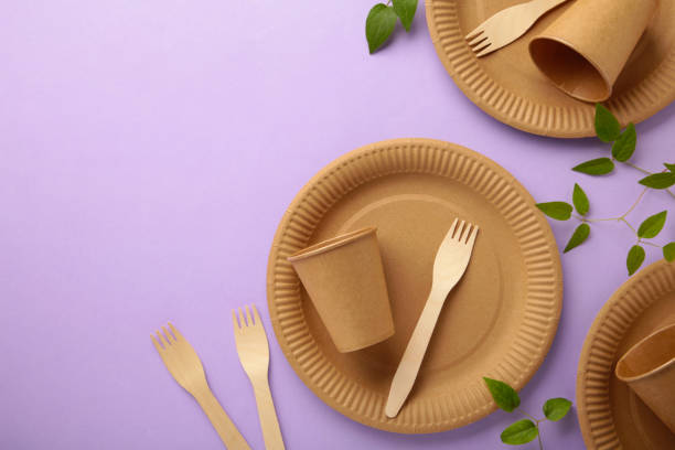 istock Eco friendly disposable dishes with green leaves on purple background. Zero waste, eco friendly, plastic free background. 1337227354