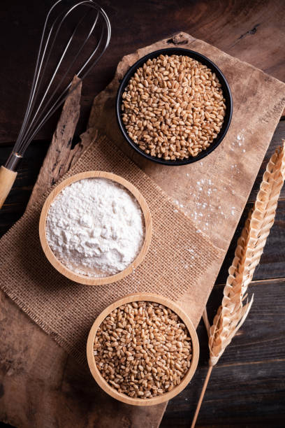 istock Wheat grain, flour and whisk for bakery cooking on wooden background 1337228362