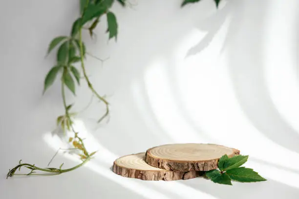 Photo of Natural round wooden stand for presentation and exhibitions on white background with shadow. Mock up 3d empty podium with green leaves for organic cosmetic product. Copy space.