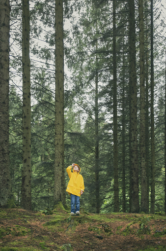 A little girl stands alone in a forest surrounded by tall trees