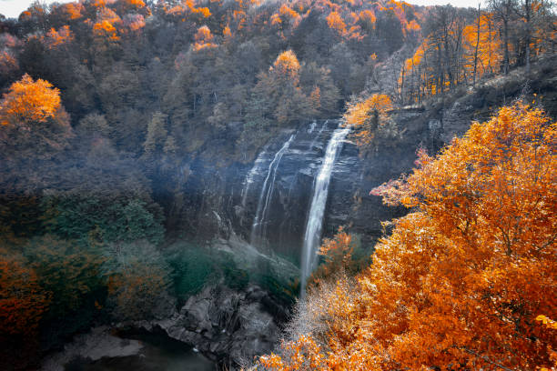 istock Autumn in the forest, deciduous trees and waterfalls. Defoliation time. 1337229889