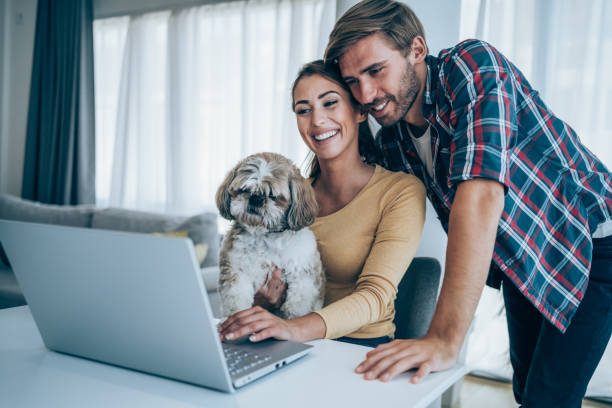 istock Cheerful couple having video call at home. 1337231226