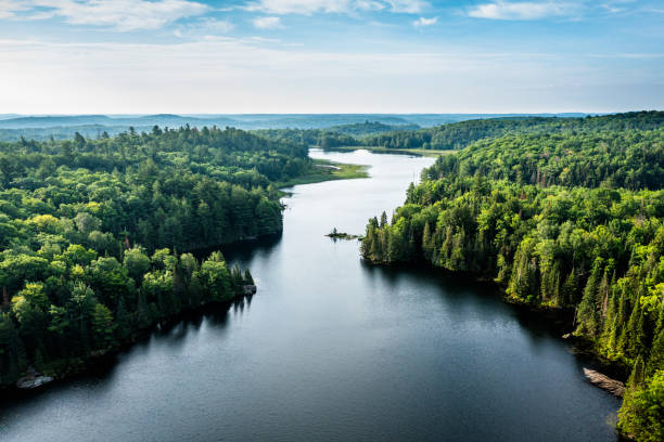 high angle view of a lake and forest - groene kleuren fotos stockfoto's en -beelden