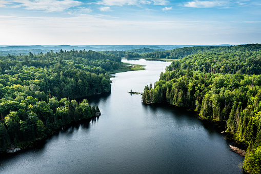 High angle view of a lake and forest