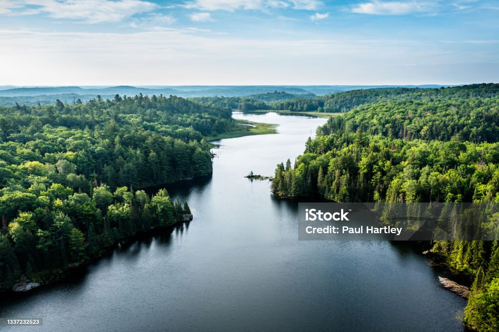High angle view of a lake and forest Aerial view of a lake and forest in the morning with mist over the forest in the distant horizon Nature Stock Photo