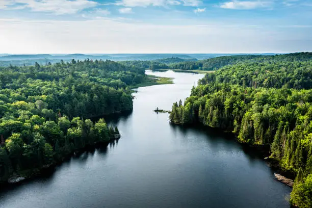 Photo of High angle view of a lake and forest