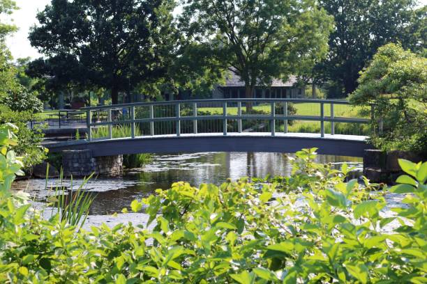 istock Bridge in the Country Park 1337232965