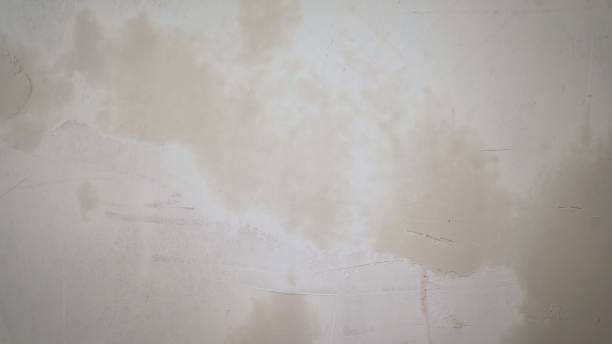 istock Closeup of a white concrete wall. White wall texture 1337233087