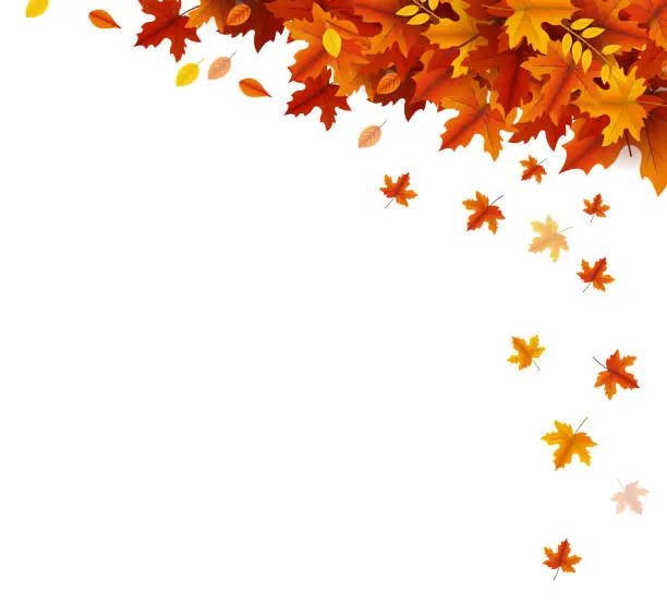 Vector illustration of autumn template