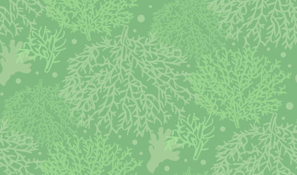 落書きスタイルの水中緑のサンゴと海のサンゴ礁を描いた手のシームレスなパターン。ベクターの図。 - seaweed sea pattern green点のイラスト素材／クリップアート素材／マンガ素材／アイコン素材