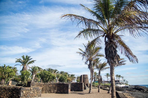 istock Beach walk around the island 1337242337