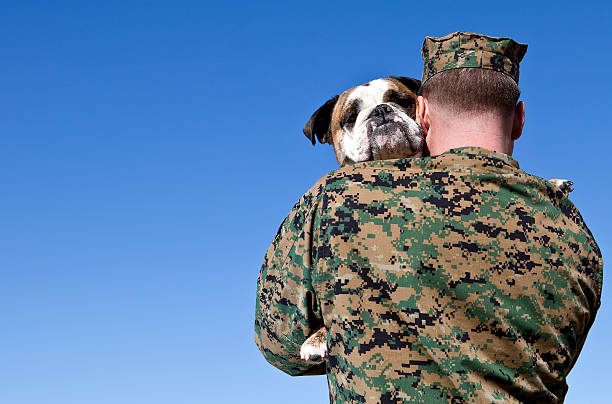Military Man Hugs Dog stock photo