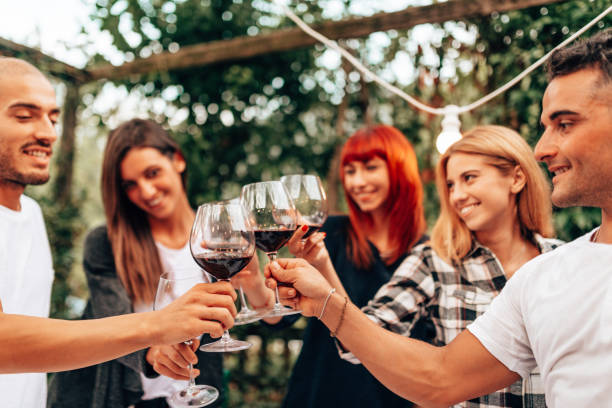 istock friends toasting with red wine at wine tasting 1337247772