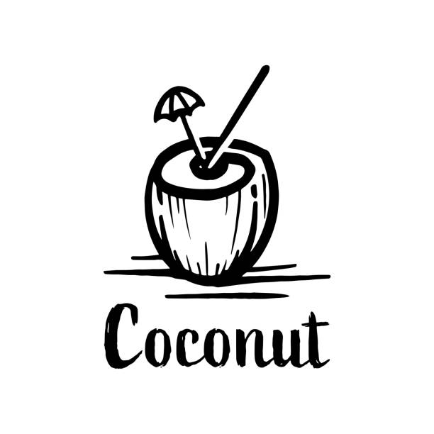 코코넛 음료 기호 - coconut drink cocktail umbrella stock illustrations
