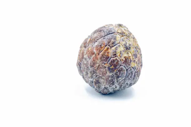 Custard apple rot and dry On a white background