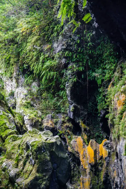 Waterfall and hidden basin of the Langevin river on Reunion Island