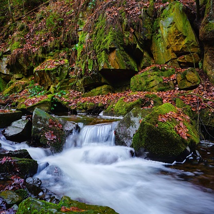 This small stream flows along moss-covered stones. Fallen leaves create an autumn mood.