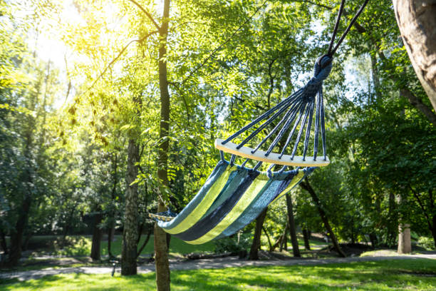 istock Colorful hammock for relaxing in a sunny park. 1337256681