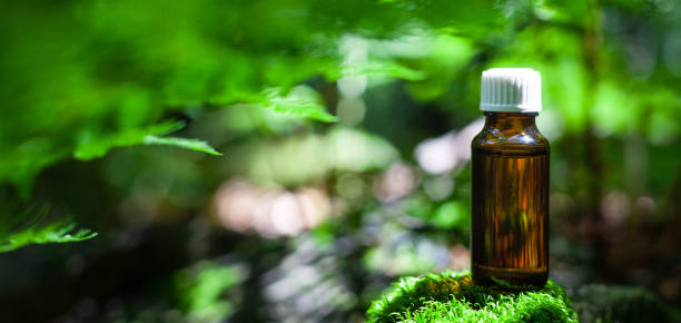istock Herbal oil on moss, green bokeh background. Alternative Medicine. COPY-SPACE for text. 1337258981