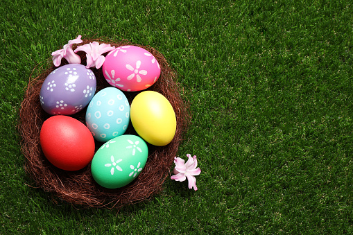 Colorful Easter eggs in decorative nest with flowers on green grass, top view. Space for text