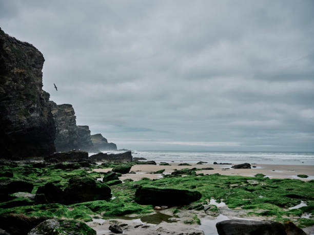 Whipsiderry Beach, Newquay, Cornwall on an overcast June day.