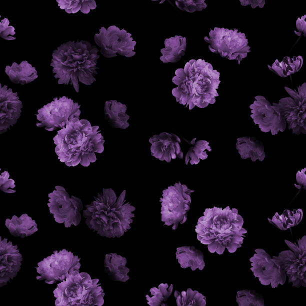 istock Purple flowers peonies on a black background. Floral seamless pattern. 1337260311