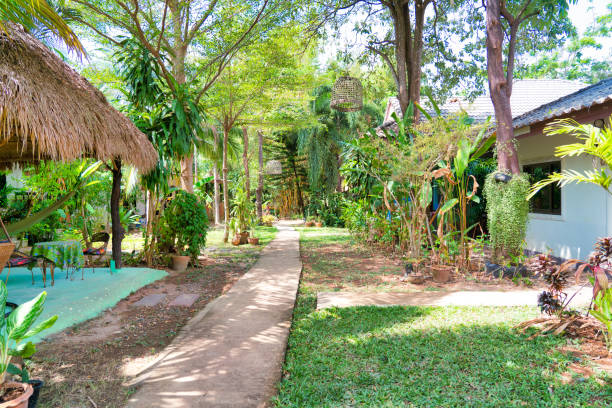 A Thai style garden filled with tropical trees, bushes and plants. On one side a well kept lawn on the other a Bamboo Sala relaxing area.  Southern Thailand.