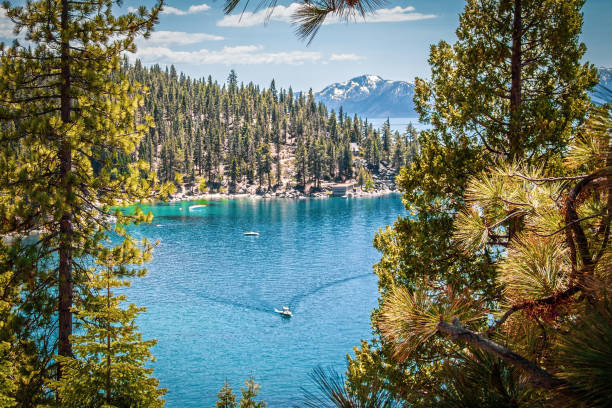 looking down through heavy forest onto Lake Tahoe USA and mountains in distance and boat creating wake in water down below. stock photo