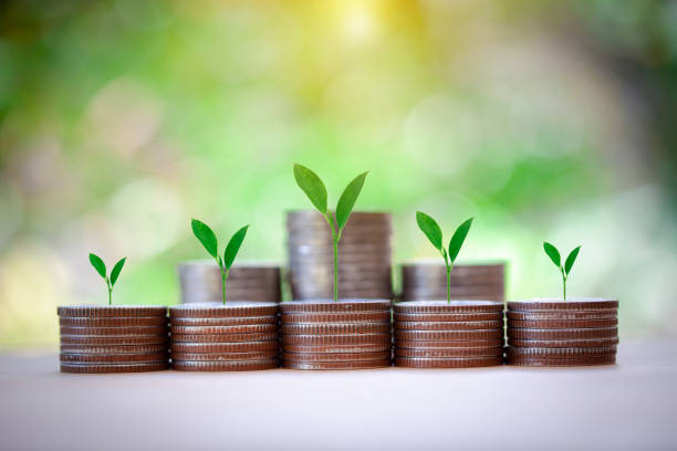 arbre poussant sur la pile de pièces, économisant de l’argent, investissement, revenu passif, avenir, étape pour garder le concept d’argent. - mutual fund photos photos et images de collection