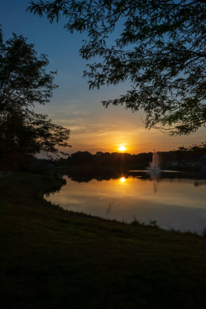 istock A summer sunrise over a pond. 1337263434