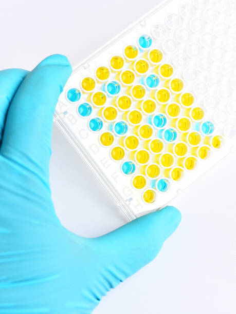 istock Enzyme-linked immunosorbent assay or ELISA plate 1337263523