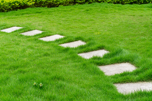 shot of a flagstone path in the grass
