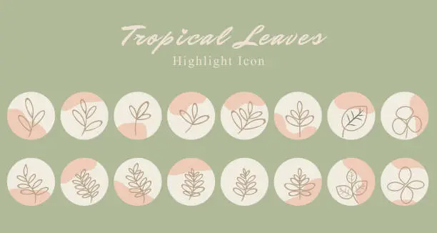 Vector illustration of Set of tropical leaf botanical icon social media highlight story template banner with pink peach abstract wave background.